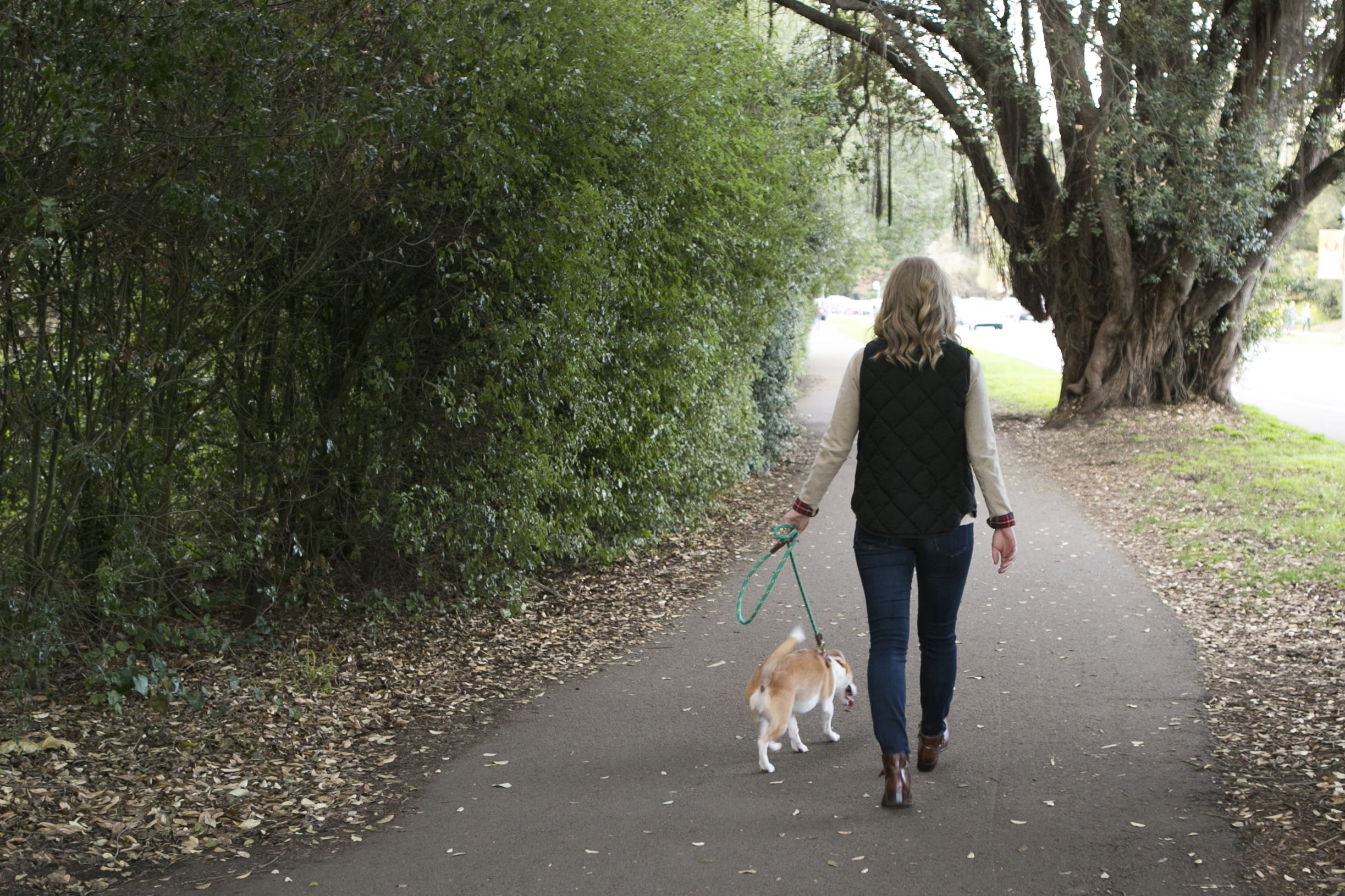 An Afternoon in Golden Gate Park.